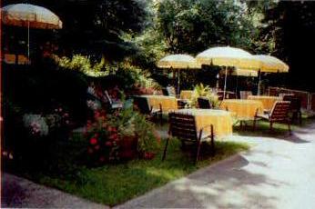 Unser Garten